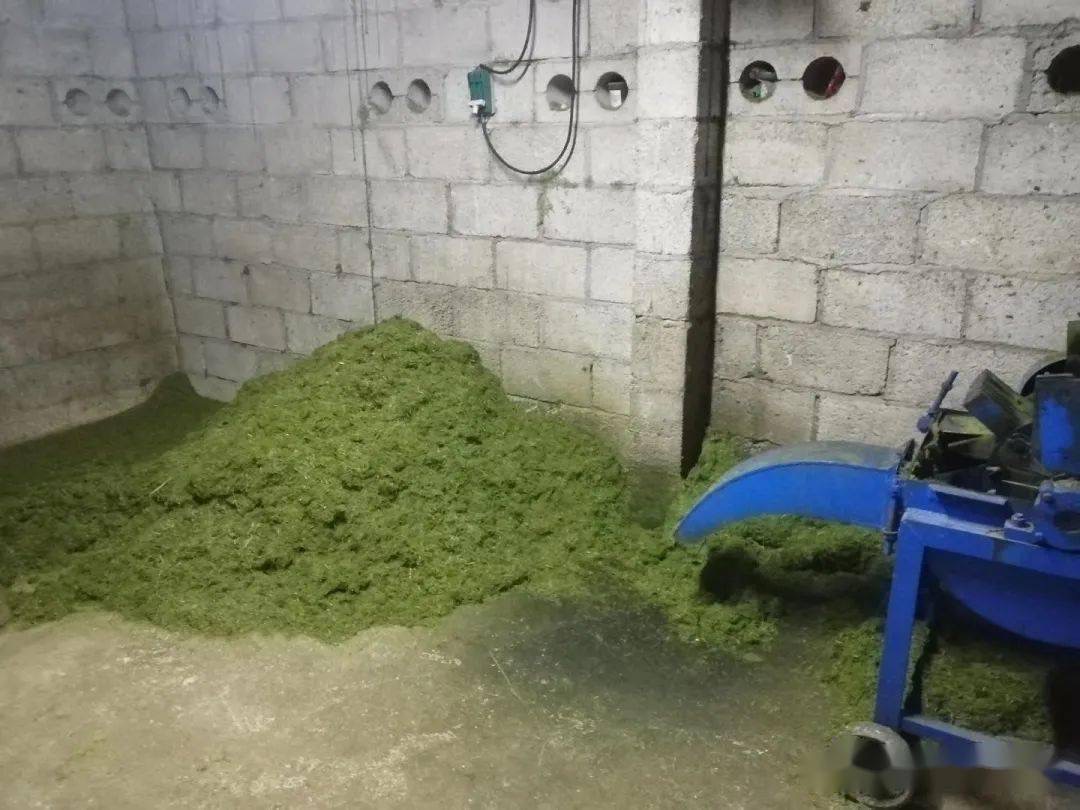 微信圖片_20241015111827.jpg 微信圖片_20241015111827.jpg