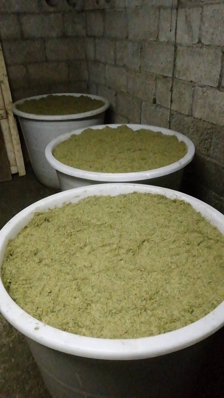 微信圖片_20241015111835.jpg 微信圖片_20241015111835.jpg