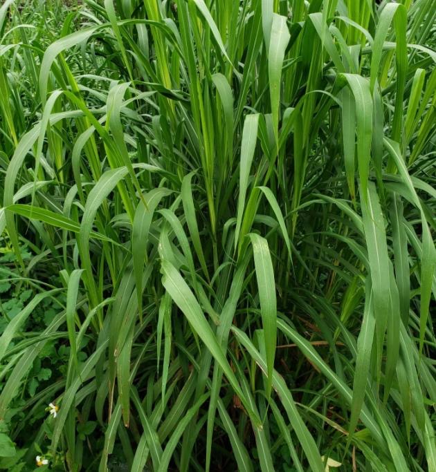 微信圖片_20241015111852.jpg 微信圖片_20241015111852.jpg