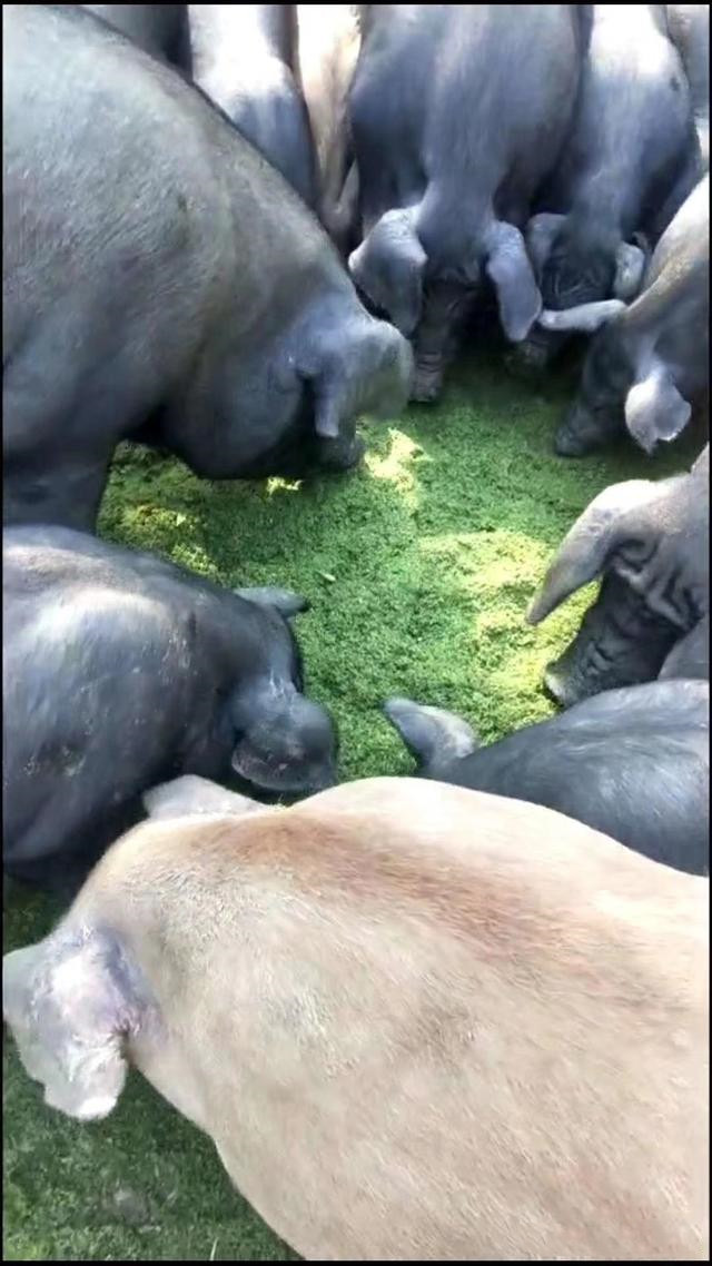 微信圖片_20241015111847.jpg 微信圖片_20241015111847.jpg