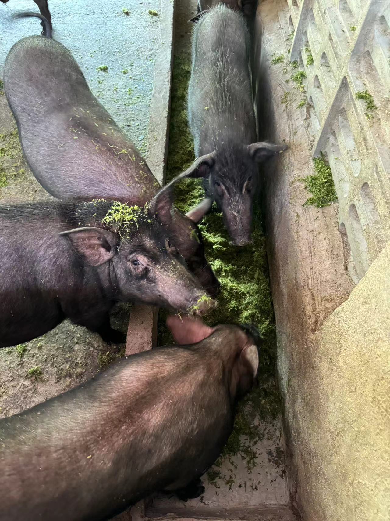 微信圖片_20241015111920.jpg 微信圖片_20241015111920.jpg