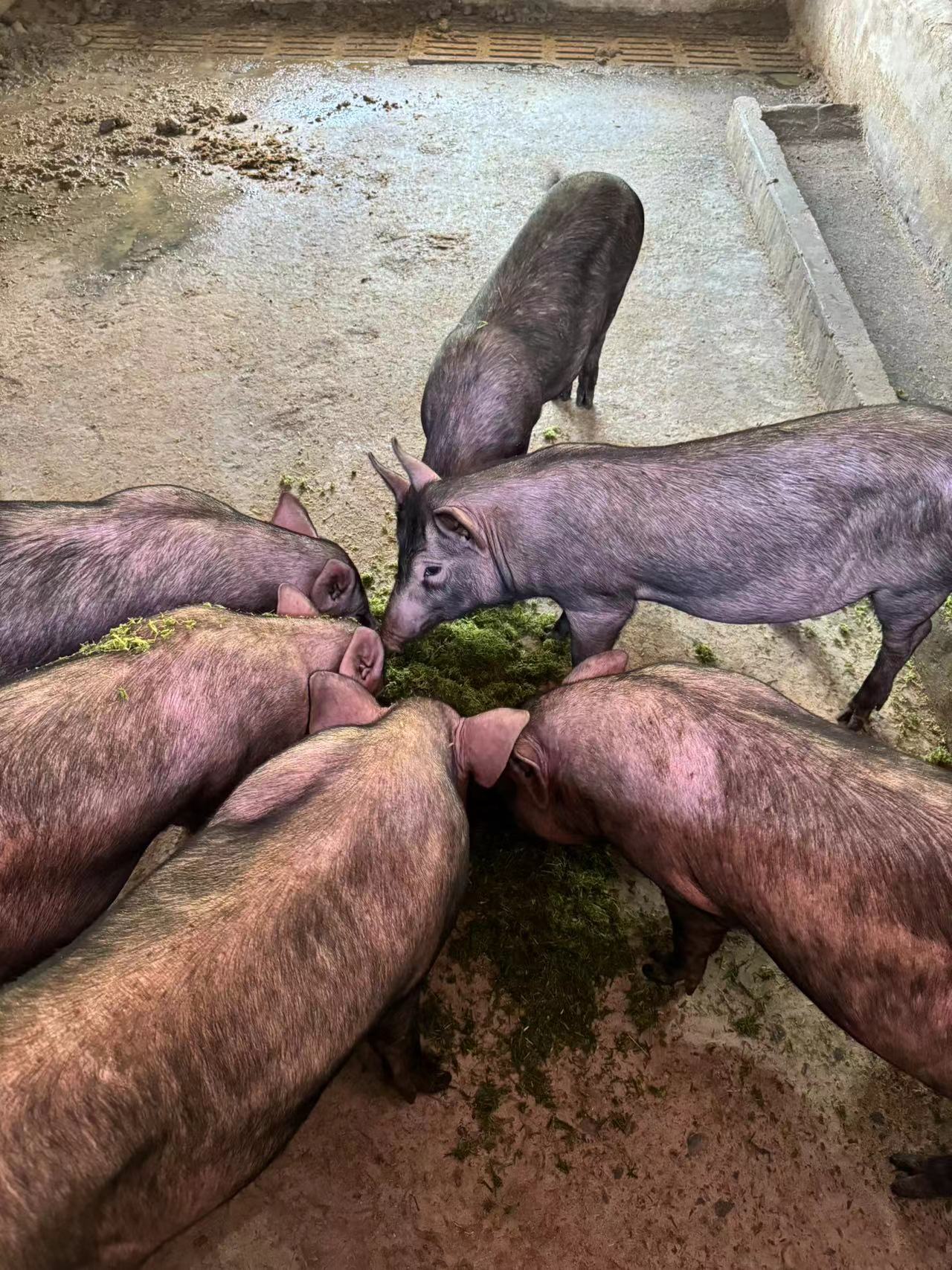 微信圖片_20241015111912.jpg 微信圖片_20241015111912.jpg