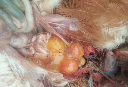 19322602.png 19322602.png