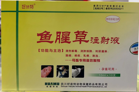 NTF1$9)KU$HYDU62W$$Y7MD.png NTF1$9)KU$HYDU62W$$Y7MD.png