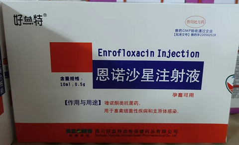 1669687368573.jpg 1669687368573.jpg