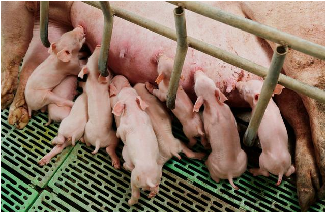 1729737672566.jpg 1729737672566.jpg