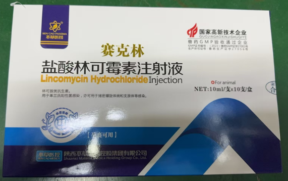 1729737775475.jpg 1729737775475.jpg