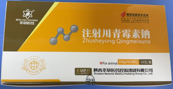 1729215236258.jpg 1729215236258.jpg