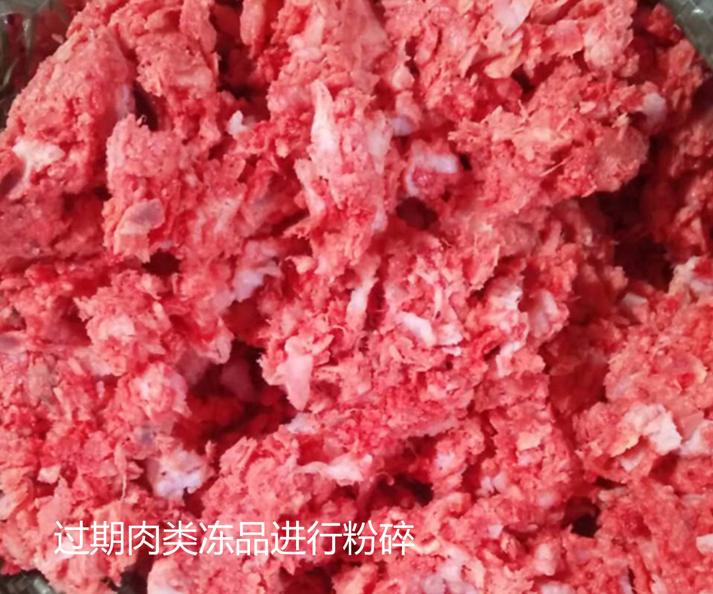 過期肉類凍品進行粉碎.jpg 過期肉類凍品進行粉碎.jpg