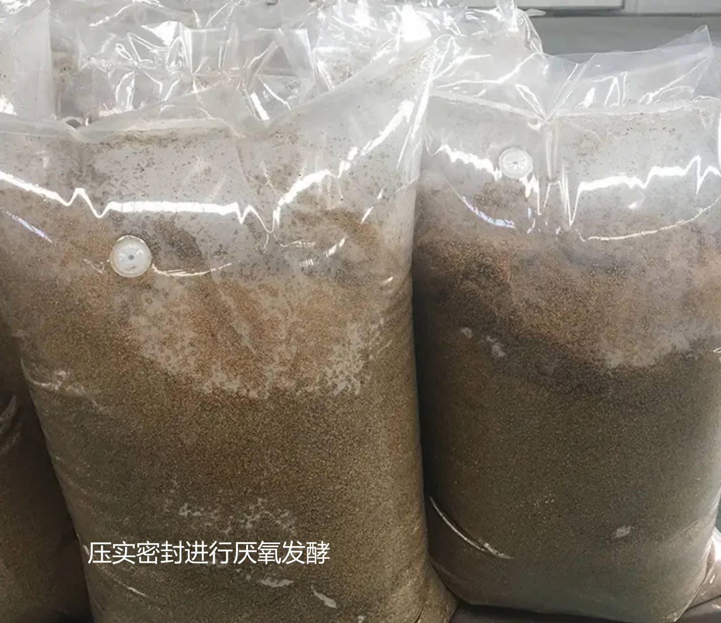 壓實密封進行厭氧發酵.jpg 壓實密封進行厭氧發酵.jpg