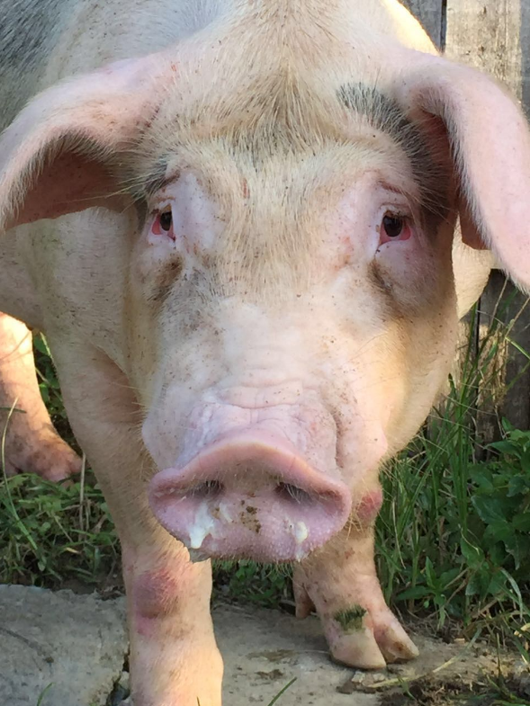 QQ圖片20241029151839.png QQ圖片20241029151839.png