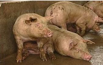 QQ圖片20241101091939.png QQ圖片20241101091939.png