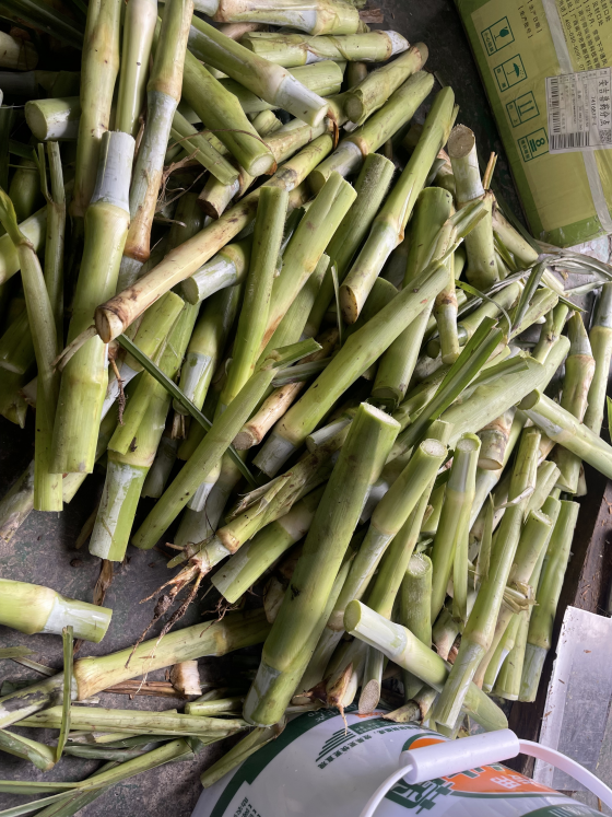 6507E4DD8E130254C1F779C515BB012B.png 6507E4DD8E130254C1F779C515BB012B.png