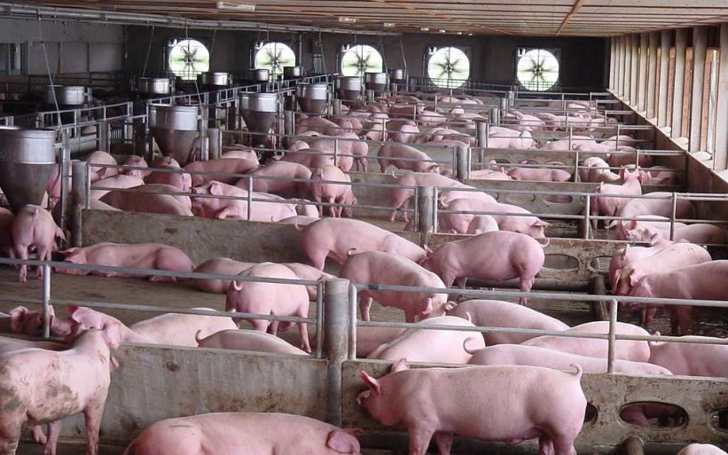 QQ瀏覽器截圖20241104100601.png QQ瀏覽器截圖20241104100601.png