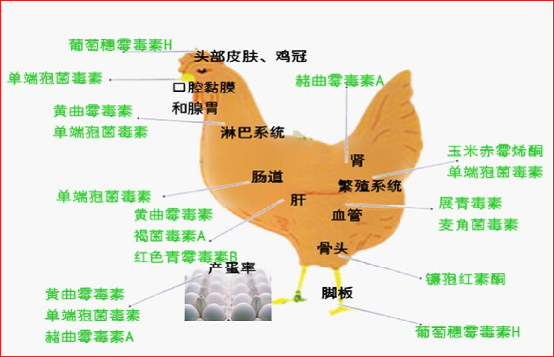 31565809.png 31565809.png