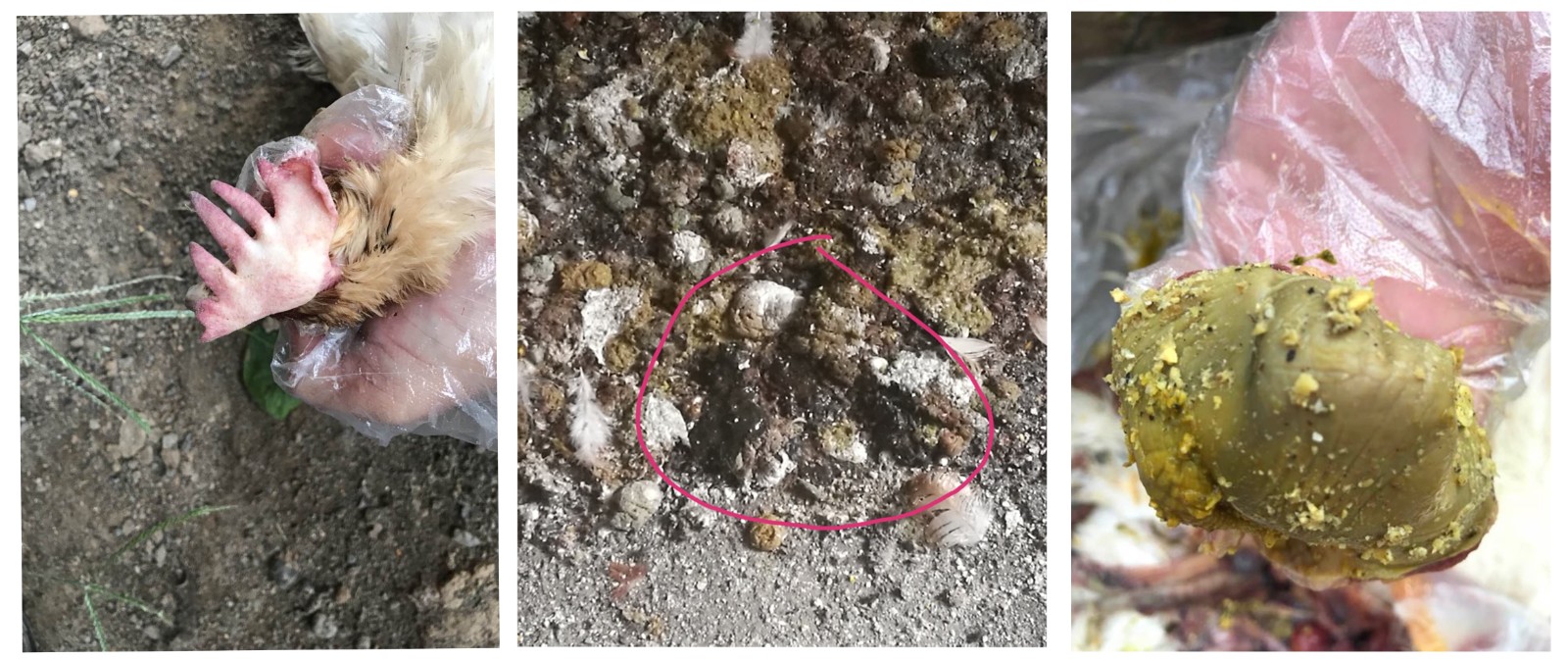 31565968.jpg 31565968.jpg