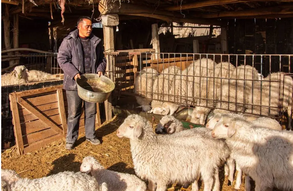 QQ瀏覽器截圖20241105101243.png QQ瀏覽器截圖20241105101243.png