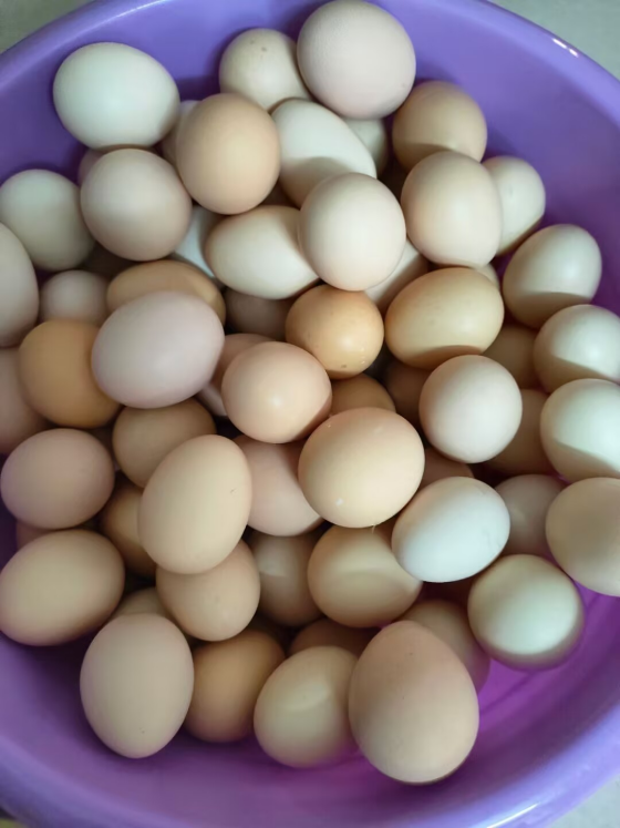 9CF10EAE06AA075A5EB132E7FB16EB09.png 9CF10EAE06AA075A5EB132E7FB16EB09.png