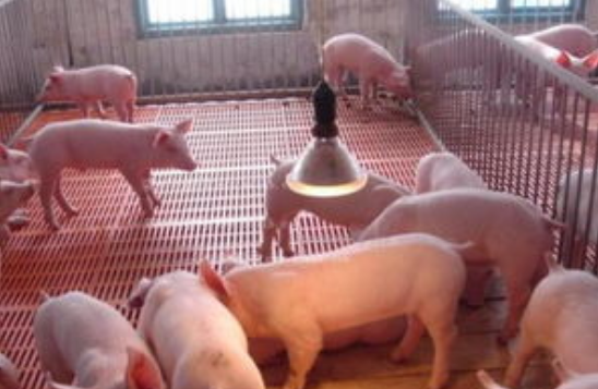 QQ瀏覽器截圖20241106091300.png QQ瀏覽器截圖20241106091300.png