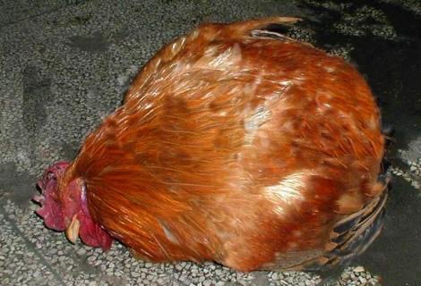 微信圖片_20241106093738.jpg 微信圖片_20241106093738.jpg