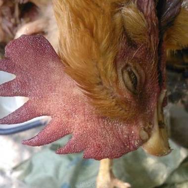 微信圖片_20241106093734.jpg 微信圖片_20241106093734.jpg