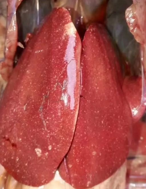 微信圖片_20241106093743.jpg 微信圖片_20241106093743.jpg