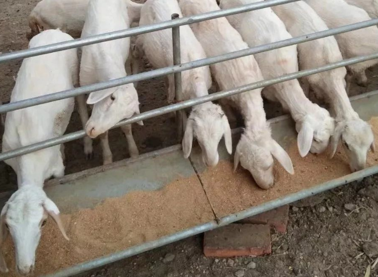 8C380AF764B75B76FB995F59EC439359.png 8C380AF764B75B76FB995F59EC439359.png