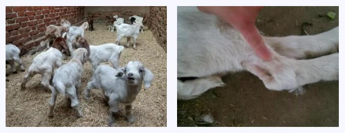 31673550.jpg 31673550.jpg