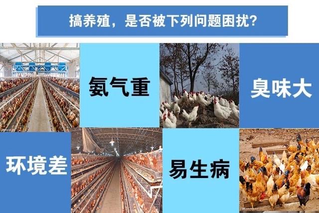 微信圖片_20241107095125.jpg 微信圖片_20241107095125.jpg