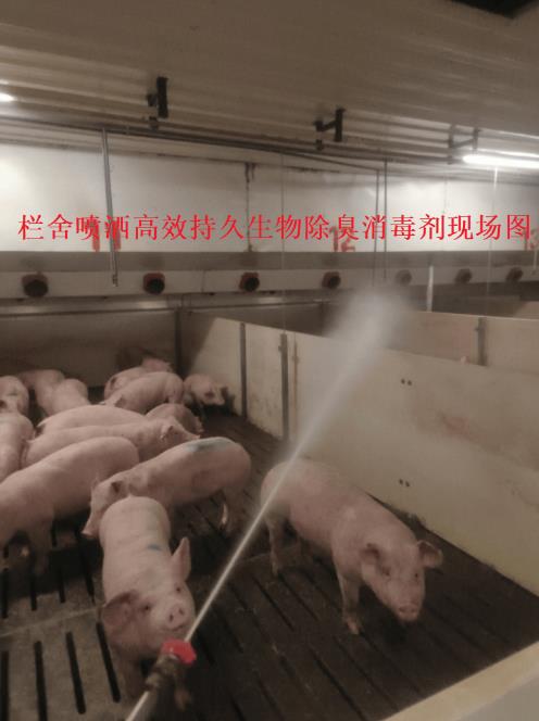 微信截圖_20241107095118.jpg 微信截圖_20241107095118.jpg