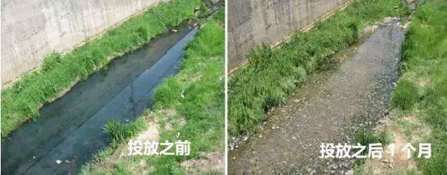 黑臭河溝治理前后5.jpg 黑臭河溝治理前后5.jpg