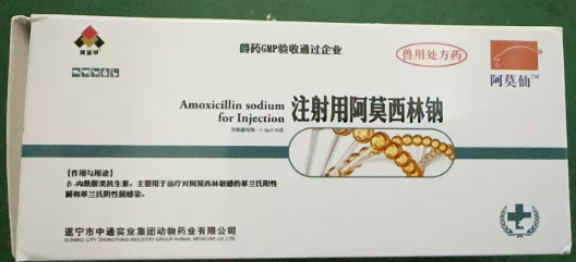 1730951574428.jpg 1730951574428.jpg