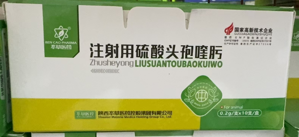 1730951557450.jpg 1730951557450.jpg