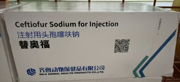 1730951594247.jpg 1730951594247.jpg