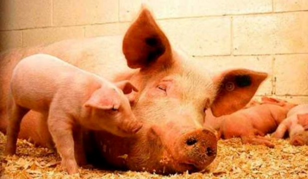 1675735936640.jpg 1675735936640.jpg