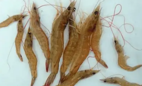 84F51FA8928496A6F3A0387081426C30.png 84F51FA8928496A6F3A0387081426C30.png