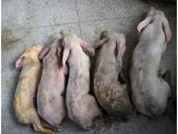 QQ瀏覽器截圖20241111104533.png QQ瀏覽器截圖20241111104533.png