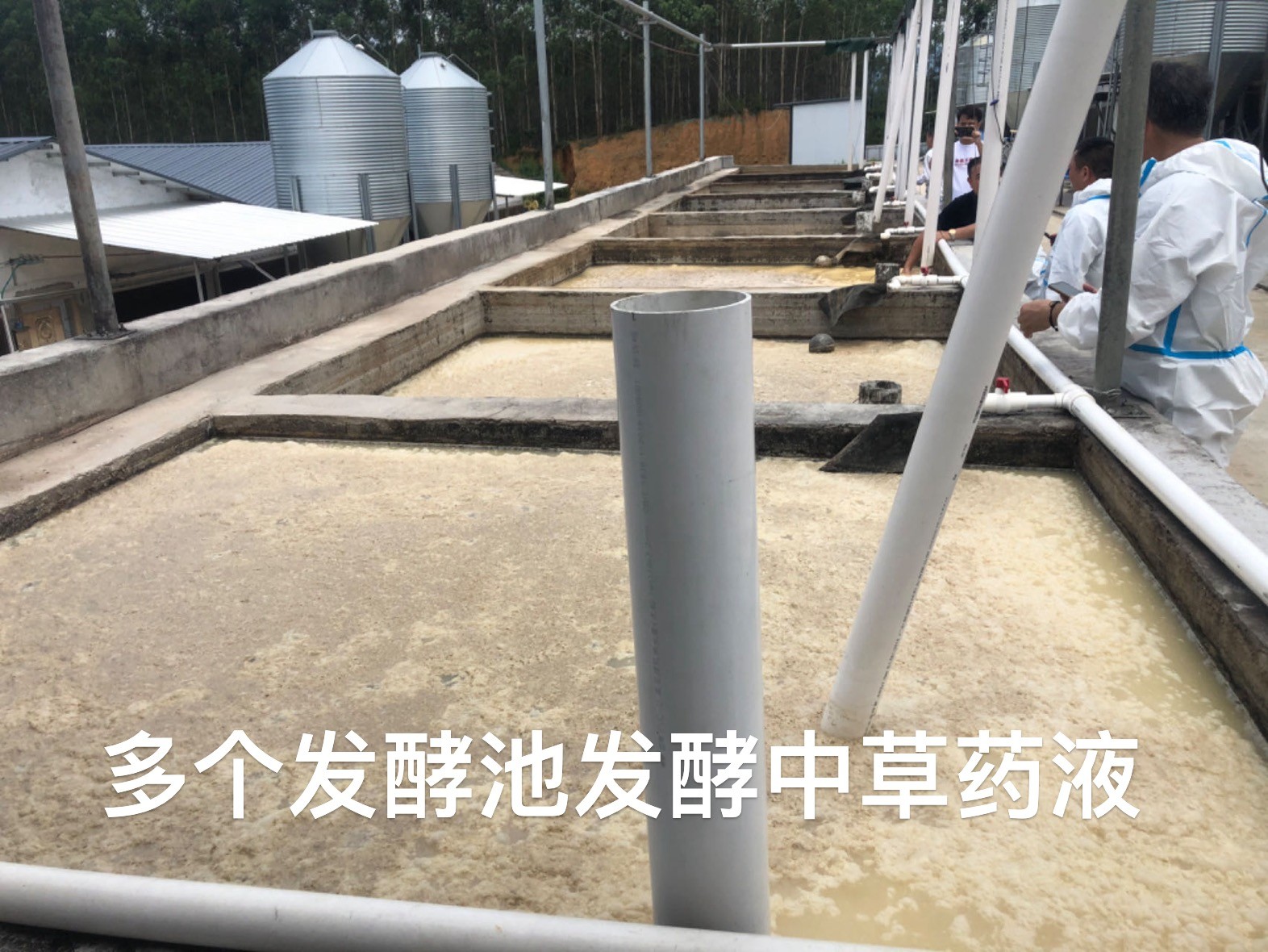 微信圖片_20241111151430.jpg 微信圖片_20241111151430.jpg