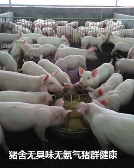 微信圖片_20241111152939.jpg 微信圖片_20241111152939.jpg