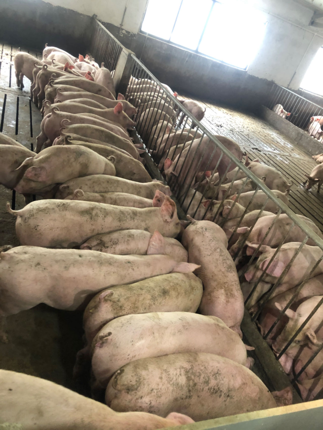 微信圖片_20241111151420.jpg 微信圖片_20241111151420.jpg