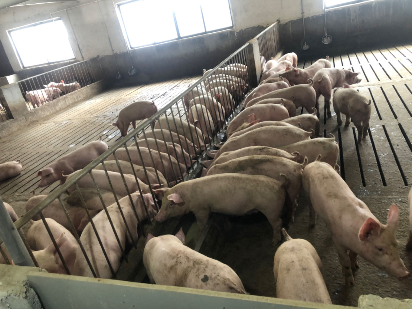 微信圖片_20241111151423.jpg 微信圖片_20241111151423.jpg