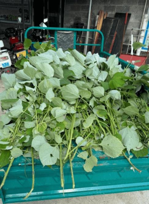 微信截圖_20241111161659.jpg 微信截圖_20241111161659.jpg