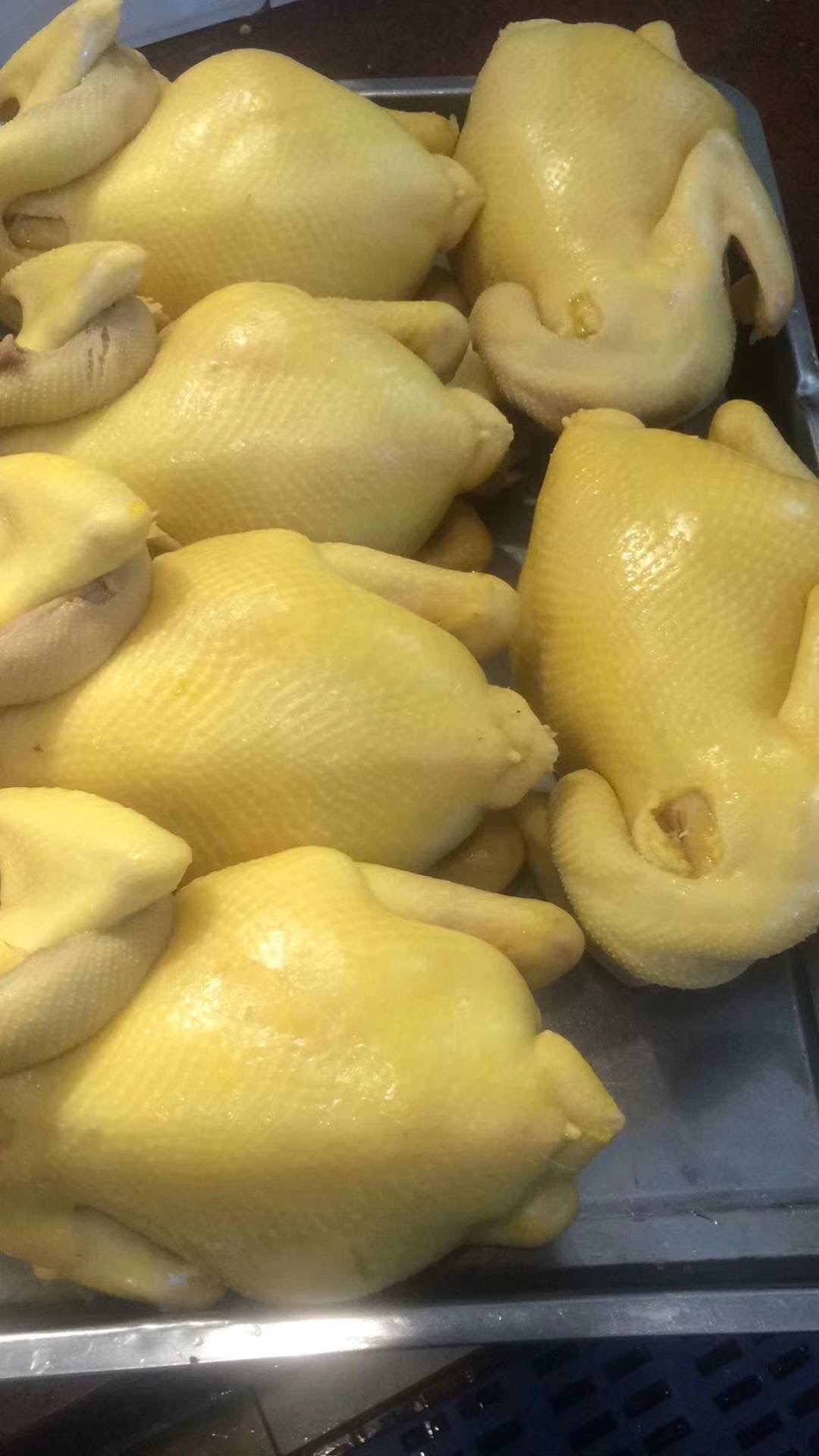 微信圖片_20241111161723.jpg 微信圖片_20241111161723.jpg