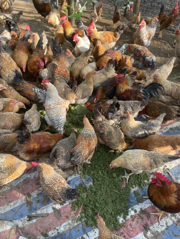 微信截圖_20241111162824.jpg 微信截圖_20241111162824.jpg