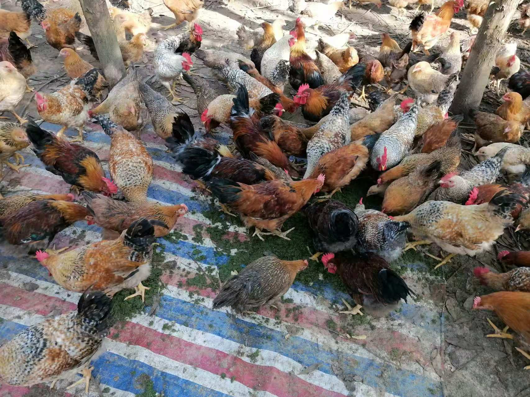 微信圖片_20241111161743.jpg 微信圖片_20241111161743.jpg