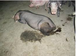 QQ瀏覽器截圖20241114095327.png QQ瀏覽器截圖20241114095327.png