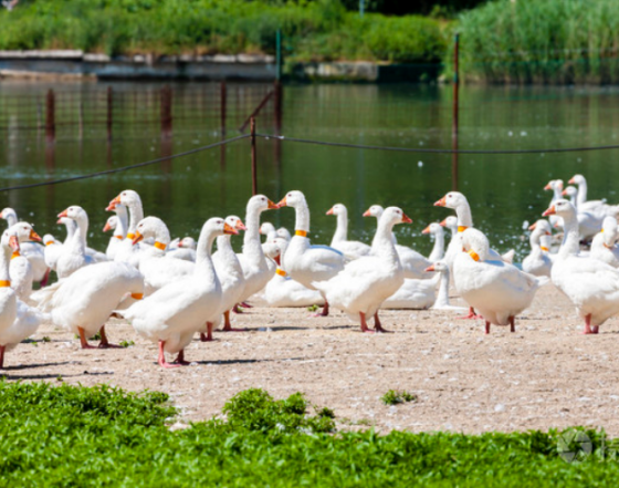 5D10595140E90C9A06976516F33FBFD9.png 5D10595140E90C9A06976516F33FBFD9.png