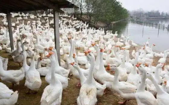 3843C5BF2048CAAA57B6E7E6D05AFDDE.png 3843C5BF2048CAAA57B6E7E6D05AFDDE.png