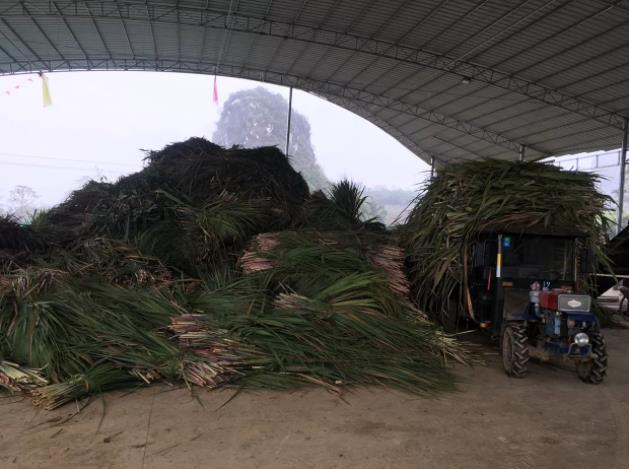 微信截圖_20241115092233.jpg 微信截圖_20241115092233.jpg