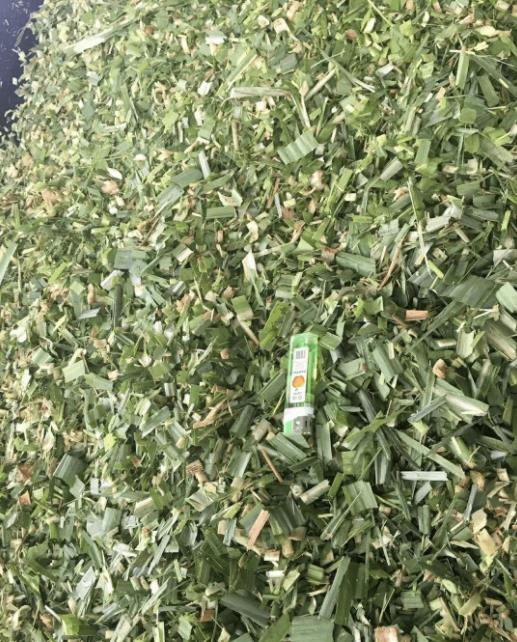 微信截圖_20241115100051.jpg 微信截圖_20241115100051.jpg